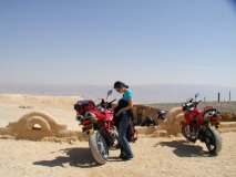 Beauty in desert