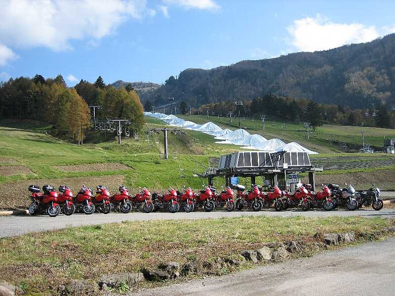 15 multistradas