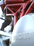 MultyPiasta 620_10