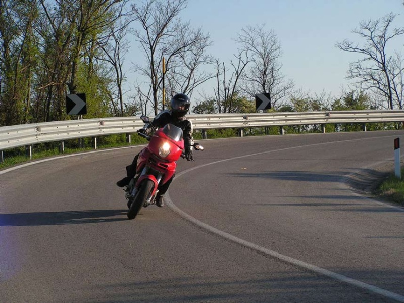 smotorata MLC