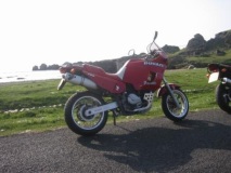 750 elefant
