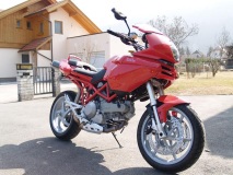 Red Termi- Babe 1