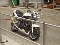 Bandit # 1