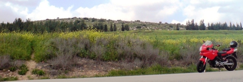 Ha'ela Valley (Emek Ha'ela), Israel
