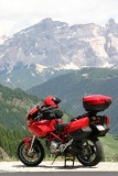 Swiss Alps late June