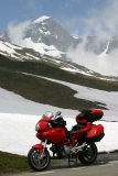 Swiss Alps late June