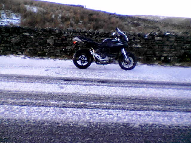 Multi in the snow