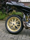 Magnesium Marchesini