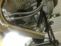 Staintune Headers to DP muffler