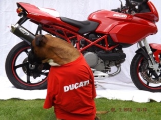 Ducati-Security