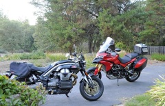 The 2 Italians in my driveway