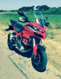 My 2015 DVT Mutley