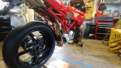 Daves Duc