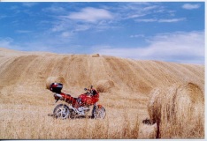 Multi Tuscany
