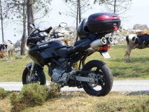mts620 Portugal